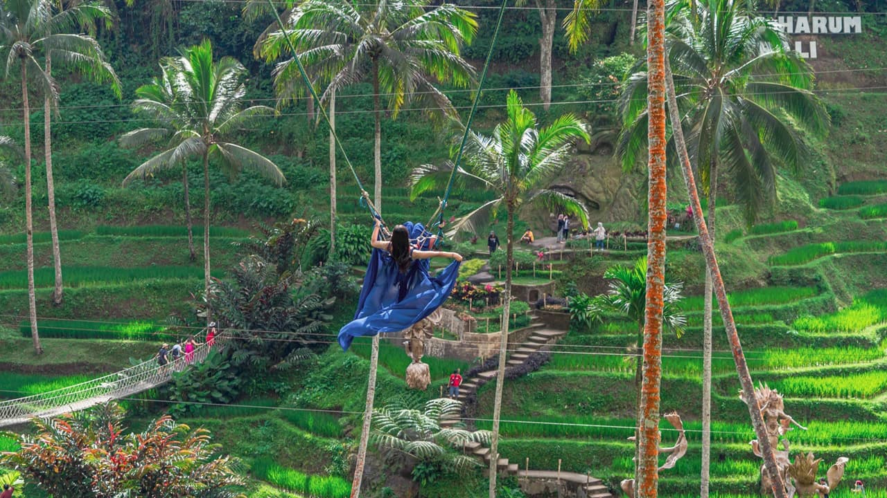 Alas Harum Bali: Swing, Skybike, and Zipline - Photo 5