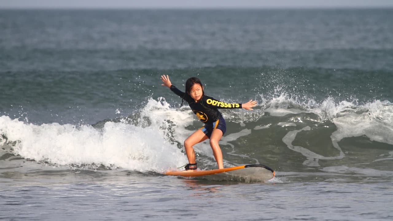 Surfing Lessons by Odysseys Surf School - image 8