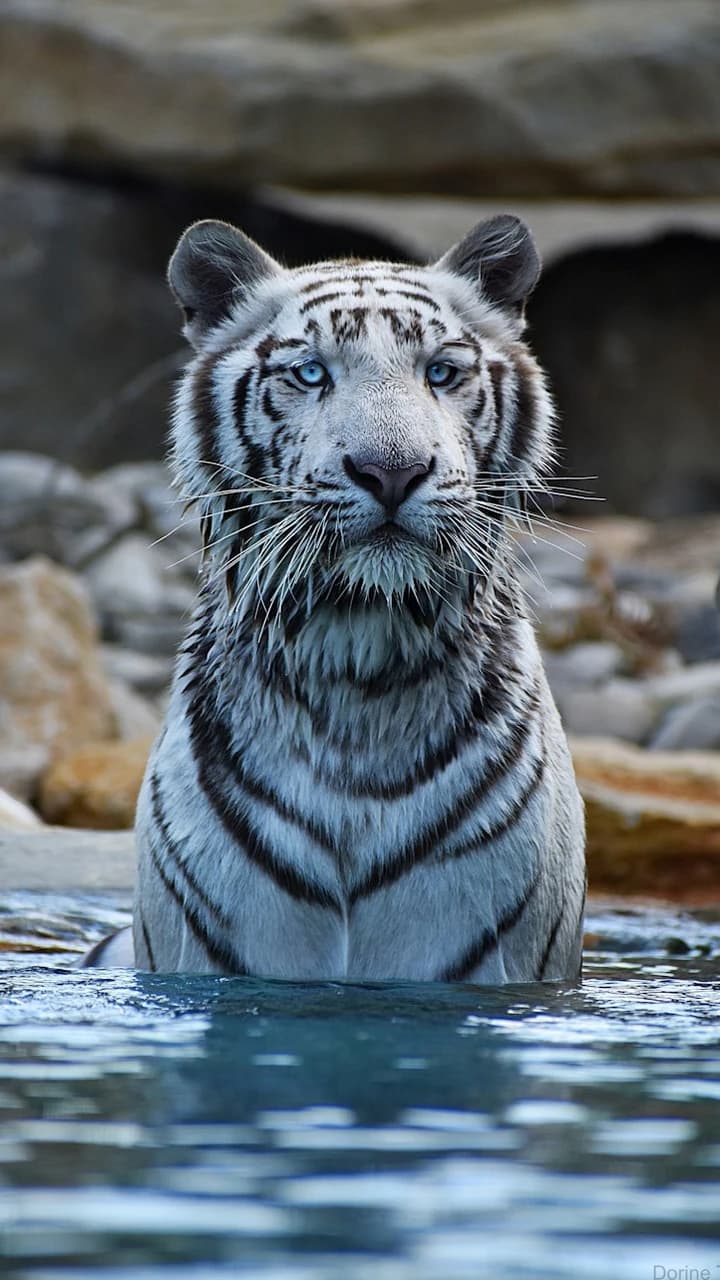 Barben Animal Park Ticket - Photo 1