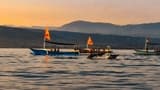 Bali Dolphin Watching and Ulun Danu Temple Private Day Trip - image 6