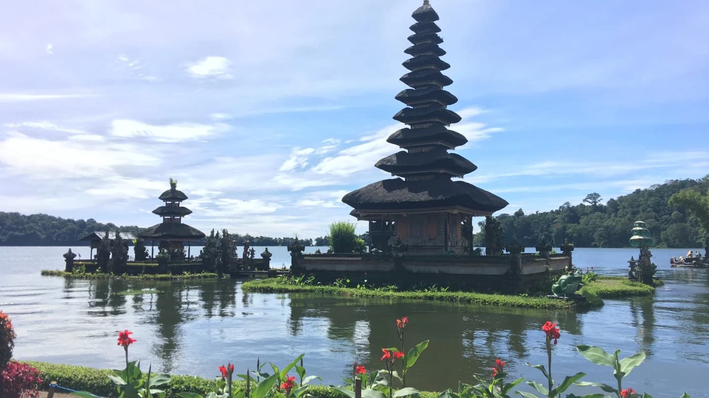 Bali Dolphin Watching and Ulun Danu Temple Private Day Trip - image 8