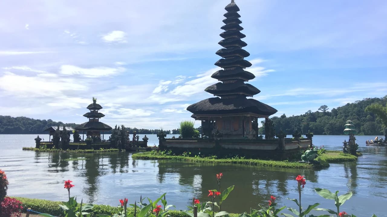 Bali Dolphin Watching and Ulun Danu Temple Private Day Trip - Photo 2