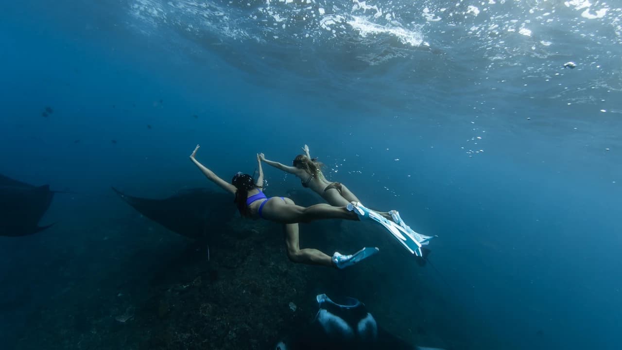 Nusa Penida Premium Day from Bali: Manta Rays, Yacht &  Land Tour - Photo 1