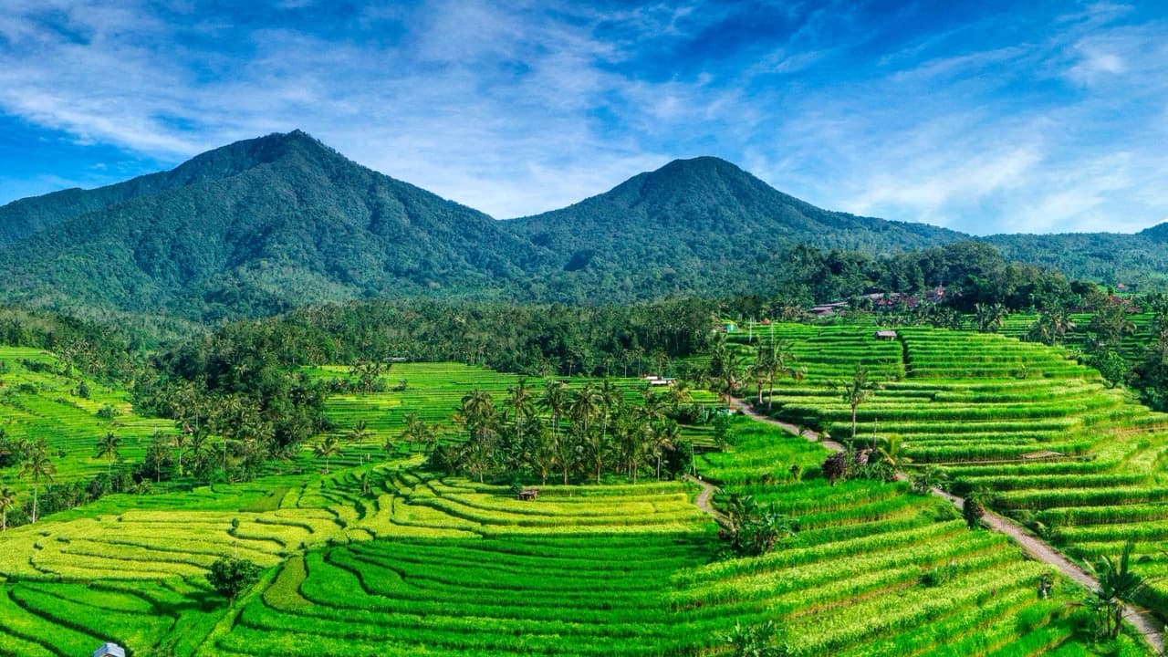 Jatiluwih Rice Terraces Electric Bike Tour in Bali - Photo 1