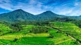 Jatiluwih Rice Terraces Electric Bike Tour in Bali - image 8