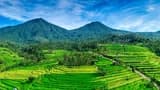 Jatiluwih Rice Terraces Electric Bike Tour in Bali - image 7