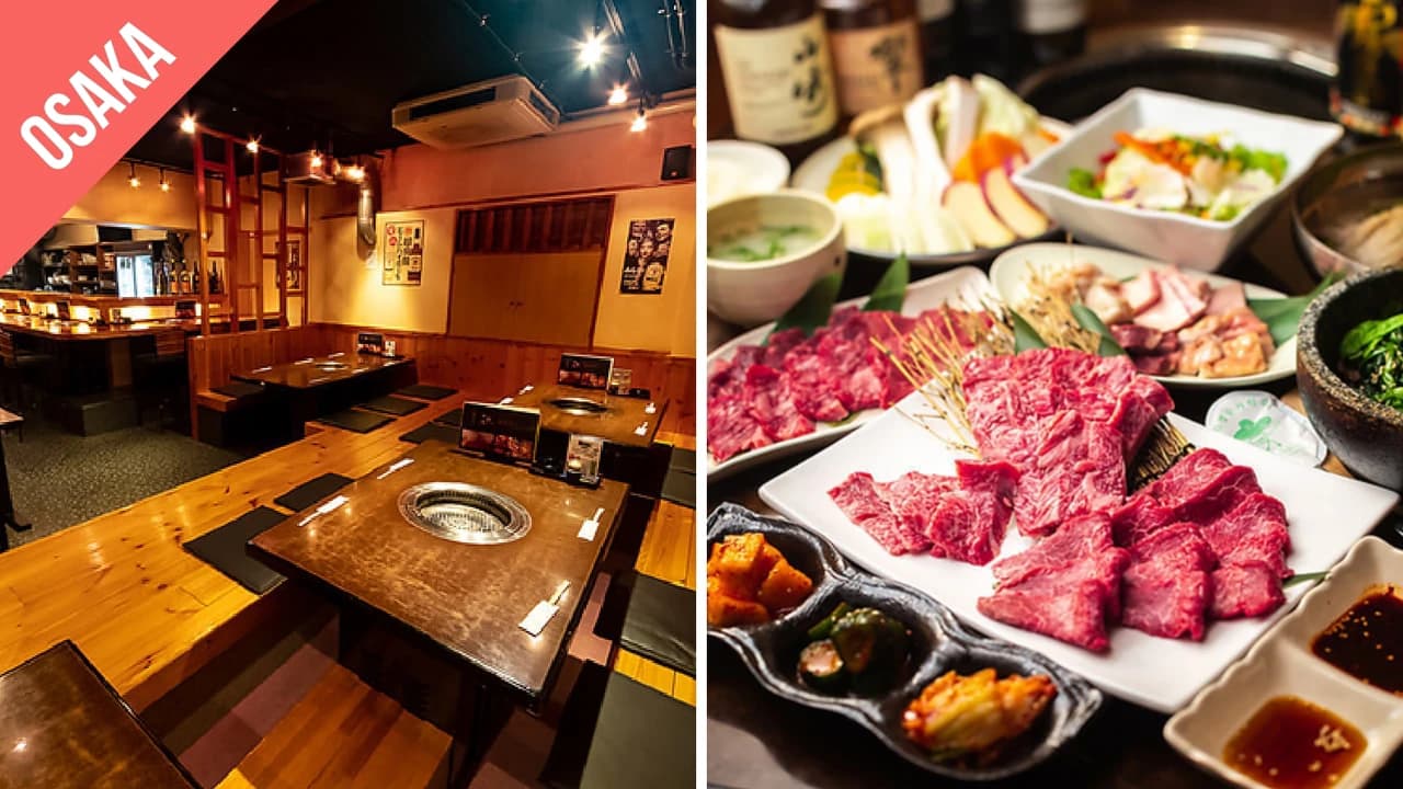 Have Fun in Kansai Pass - 1 Week Free Pass - Photo 2