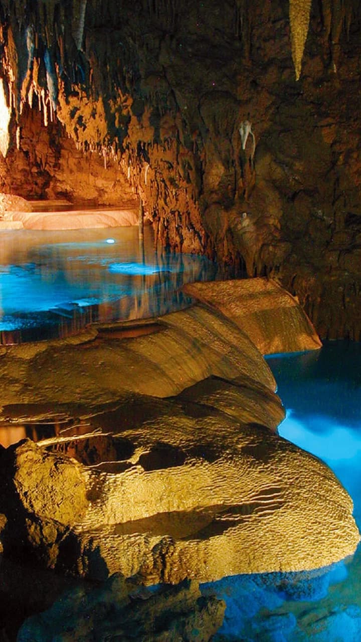 Okinawa World Pass - image 7