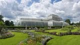 Kew Gardens - image 6