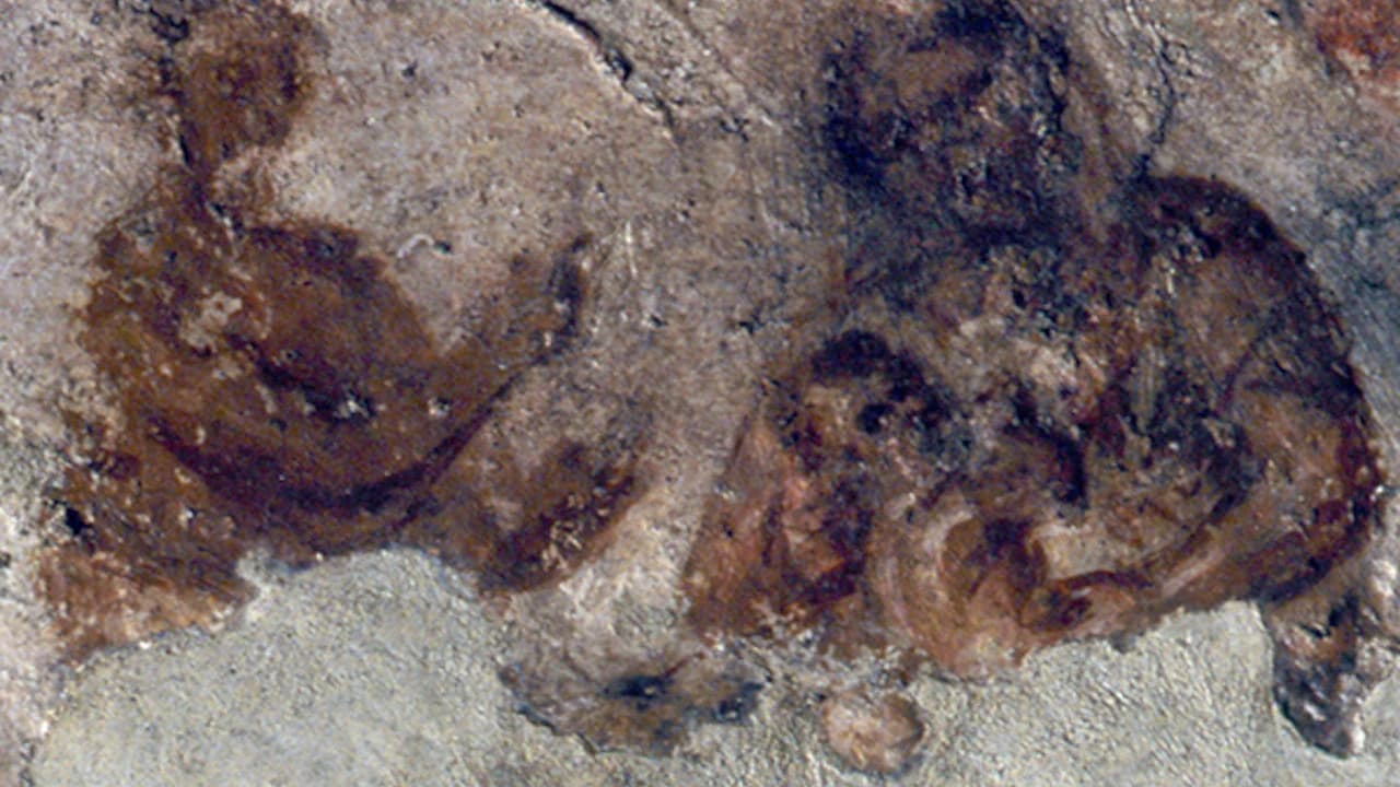 Priscilla Catacomb - Photo 3