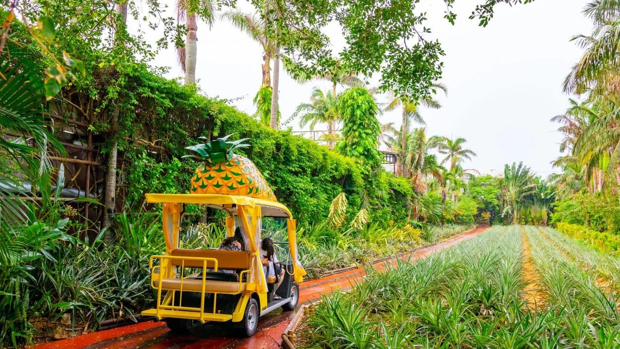 Okinawa Nago Pineapple Park - Photo 1