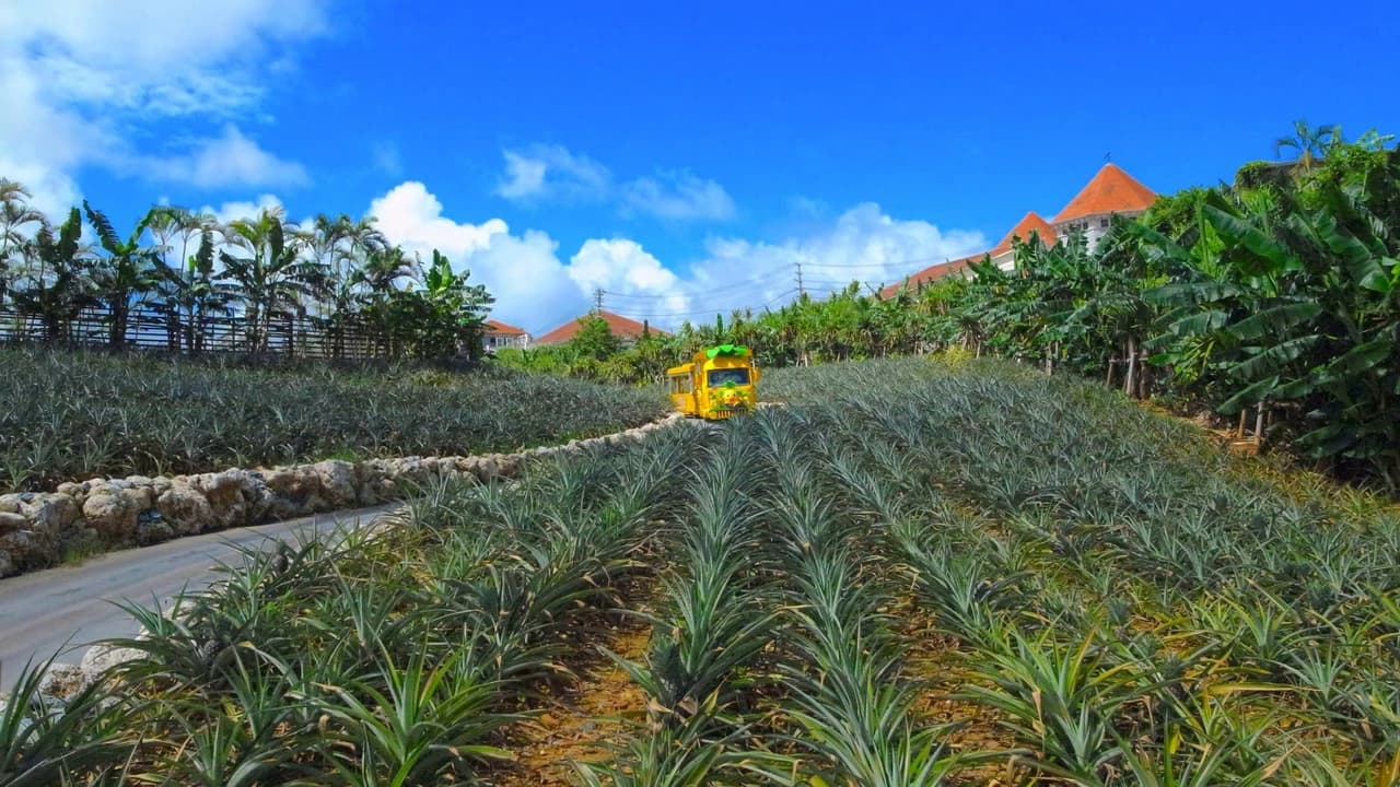 Okinawa Nago Pineapple Park - Photo 4