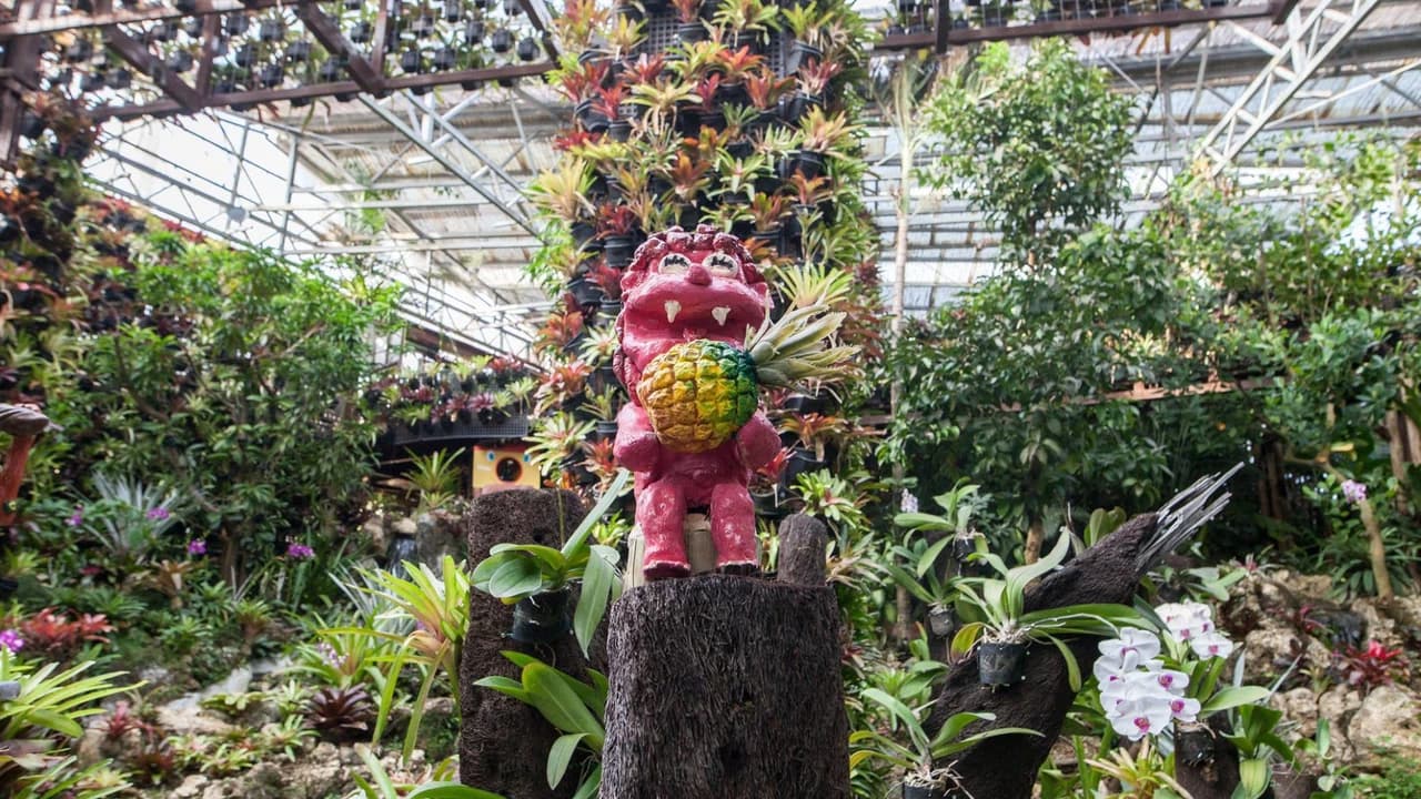 Okinawa Nago Pineapple Park - image 6