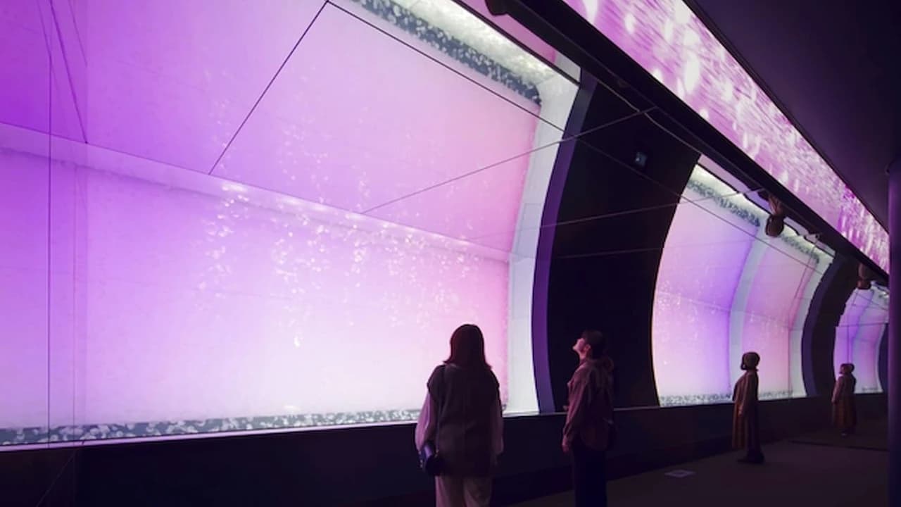 Aqua World Ibaraki Prefectural Oarai Aquarium Ticket - Photo 5