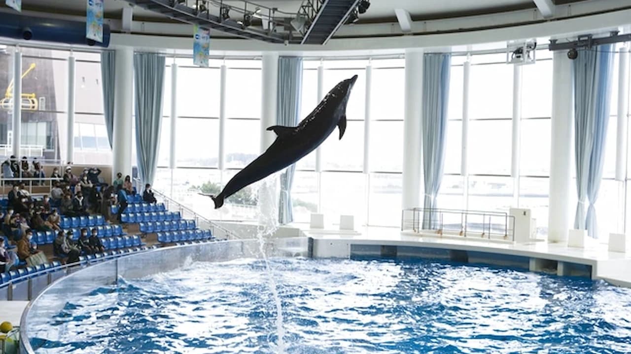 Aqua World Ibaraki Prefectural Oarai Aquarium Ticket - image 6