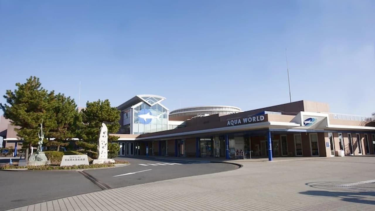 Aqua World Ibaraki Prefectural Oarai Aquarium Ticket - image 8