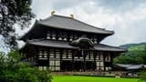 Nara Tour from Kyoto - image 6