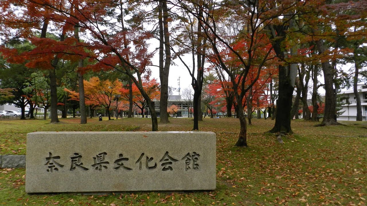 Nara Tour from Kyoto - Photo 3