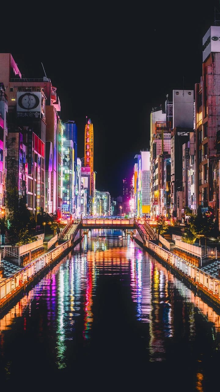 Osaka Night Food Tour - image 8