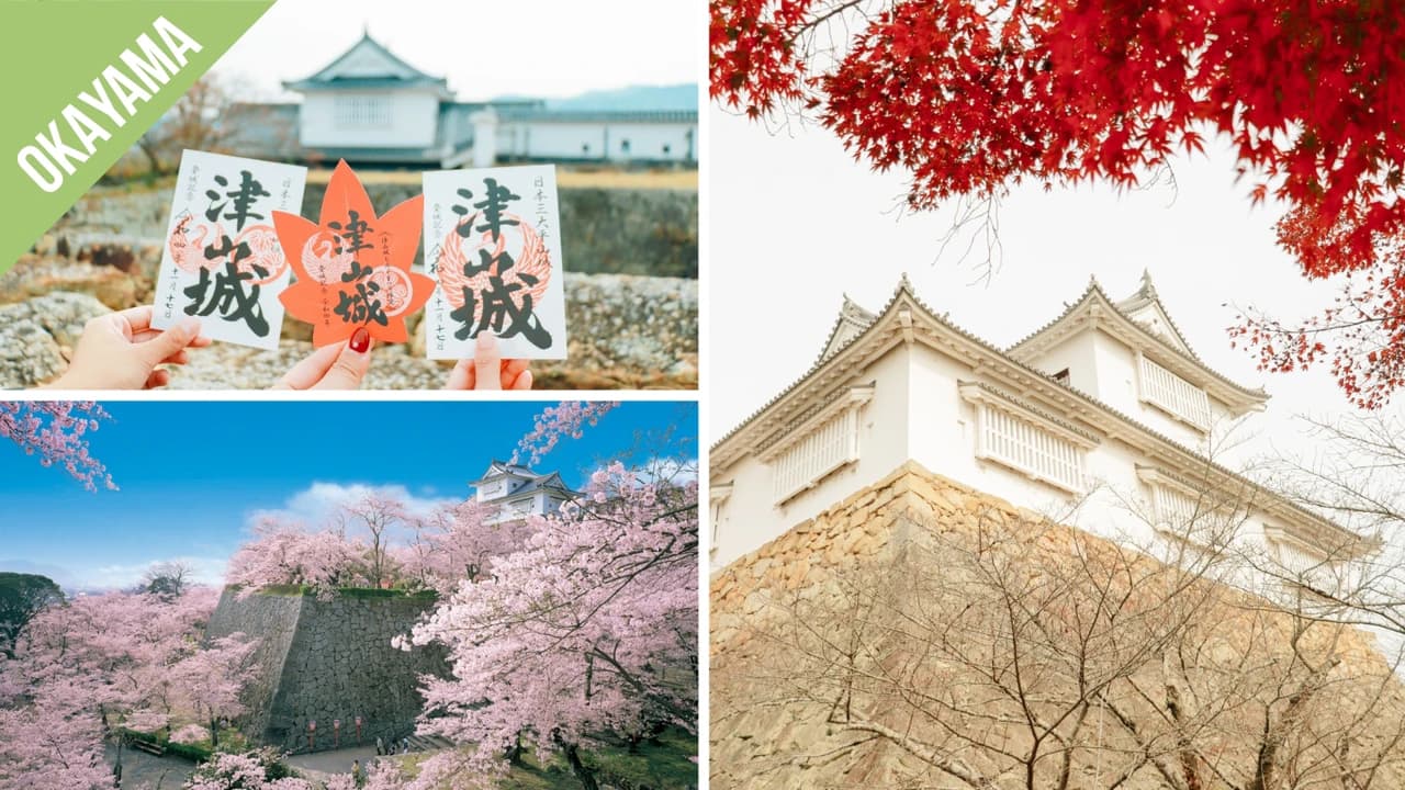 Have Fun in Okayama Pass - 1 Week Free Pass - Photo 4