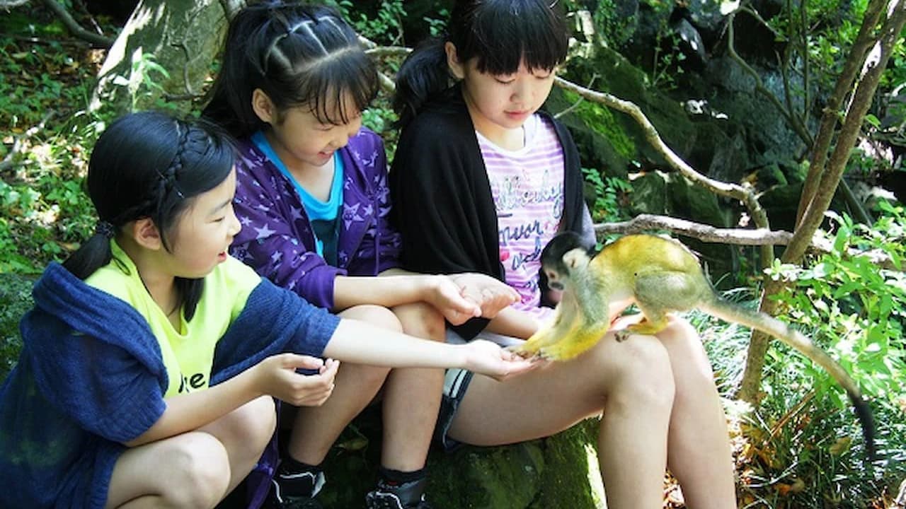 Izu Shaboten Zoo Ticket - Photo 4