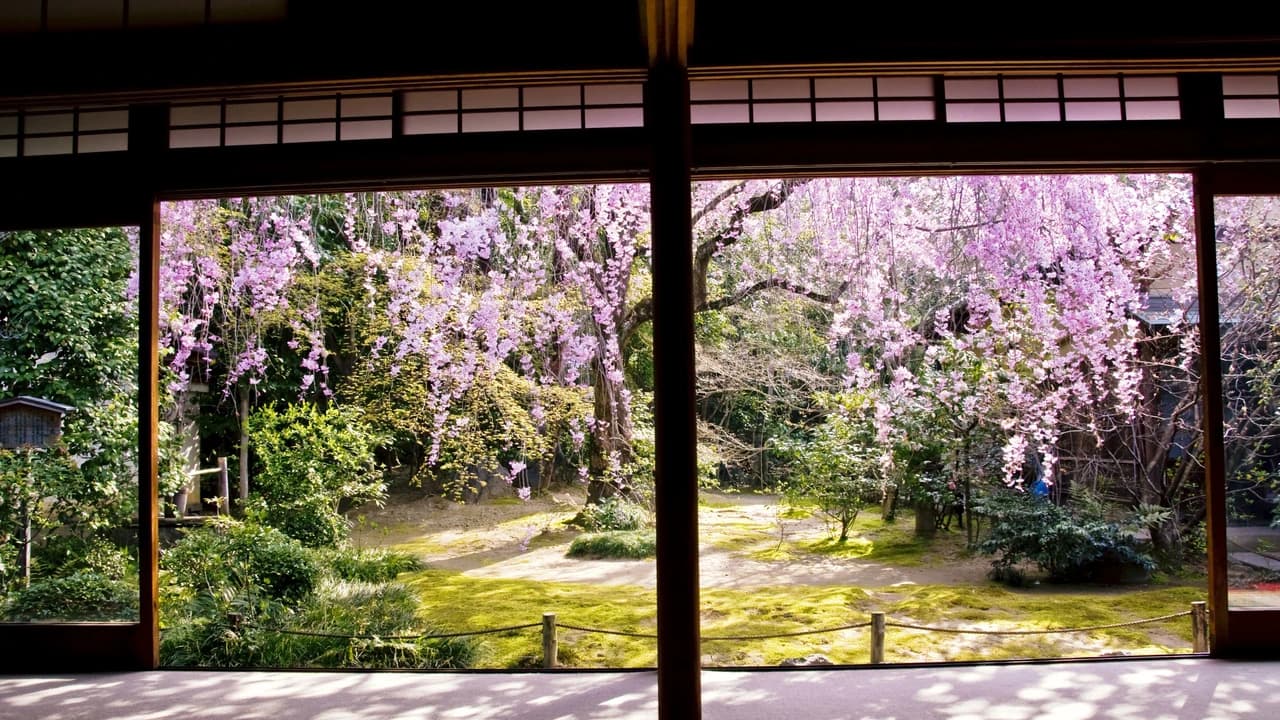 Myoshinji Temple Self-Guided Tour with Lunch - Photo 5