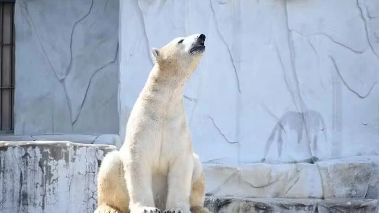 Nagoya-City Higashiyama Zoo and Botanical Gardens - Photo 1
