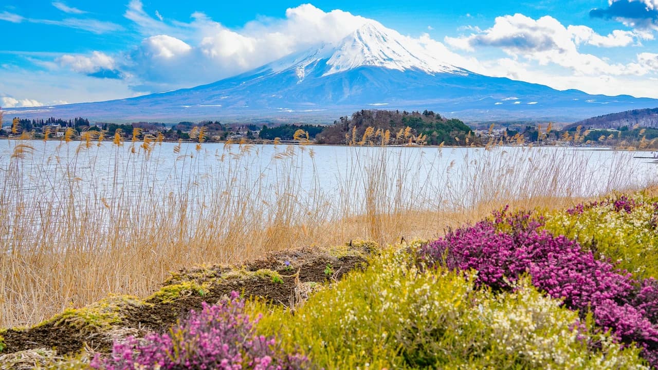 Mount Fuji, Kamakura, Lake Ashi, and Big Buddha Full-Day Tour from Tokyo - Photo 1
