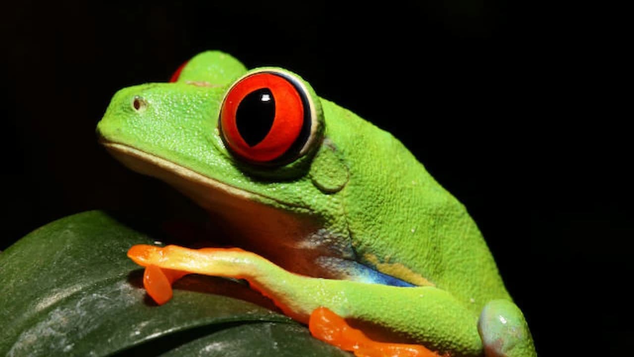 iZoo Sensory Zoo Ticket - Photo 1