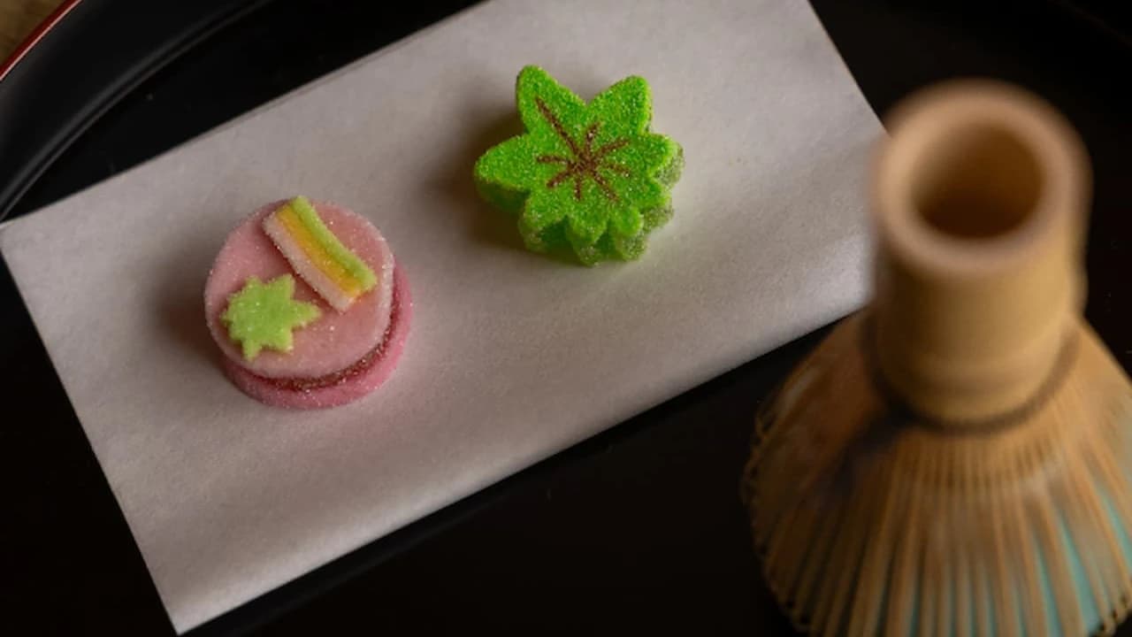 Tea Ceremony Experience at Canon Kyoto - image 7