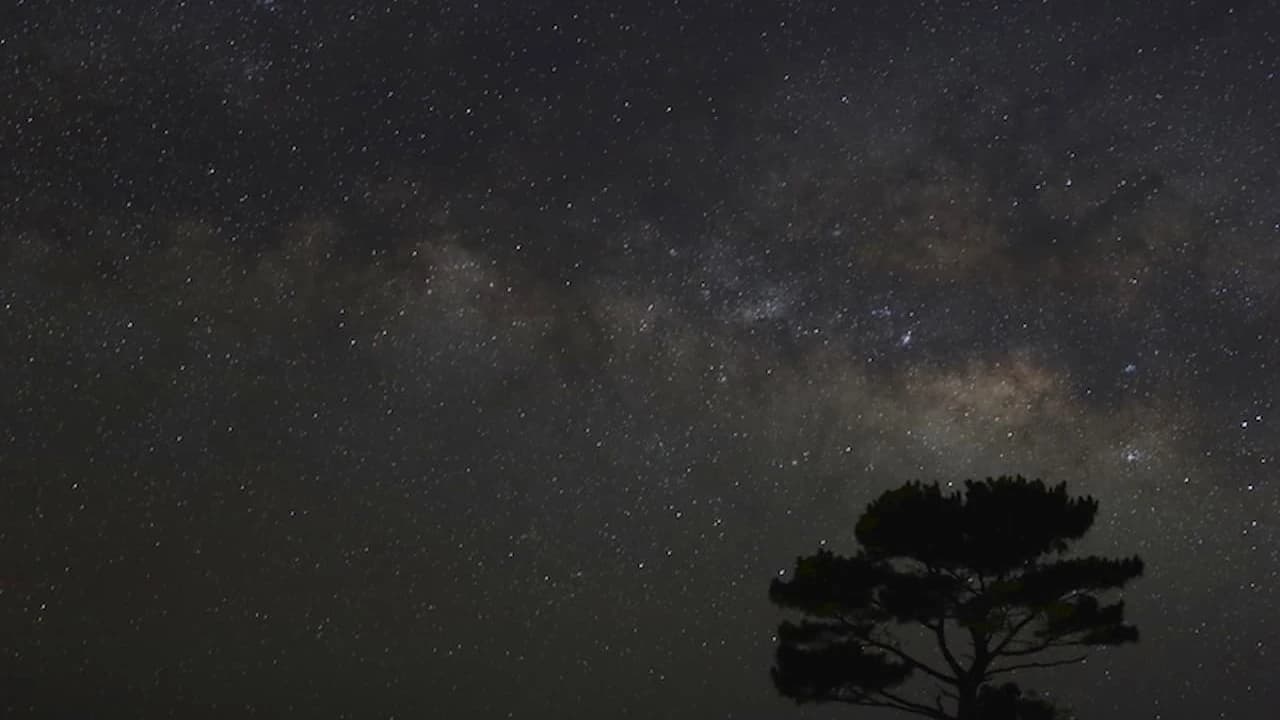 Ishigaki Island Stargazing Experience - Photo 3