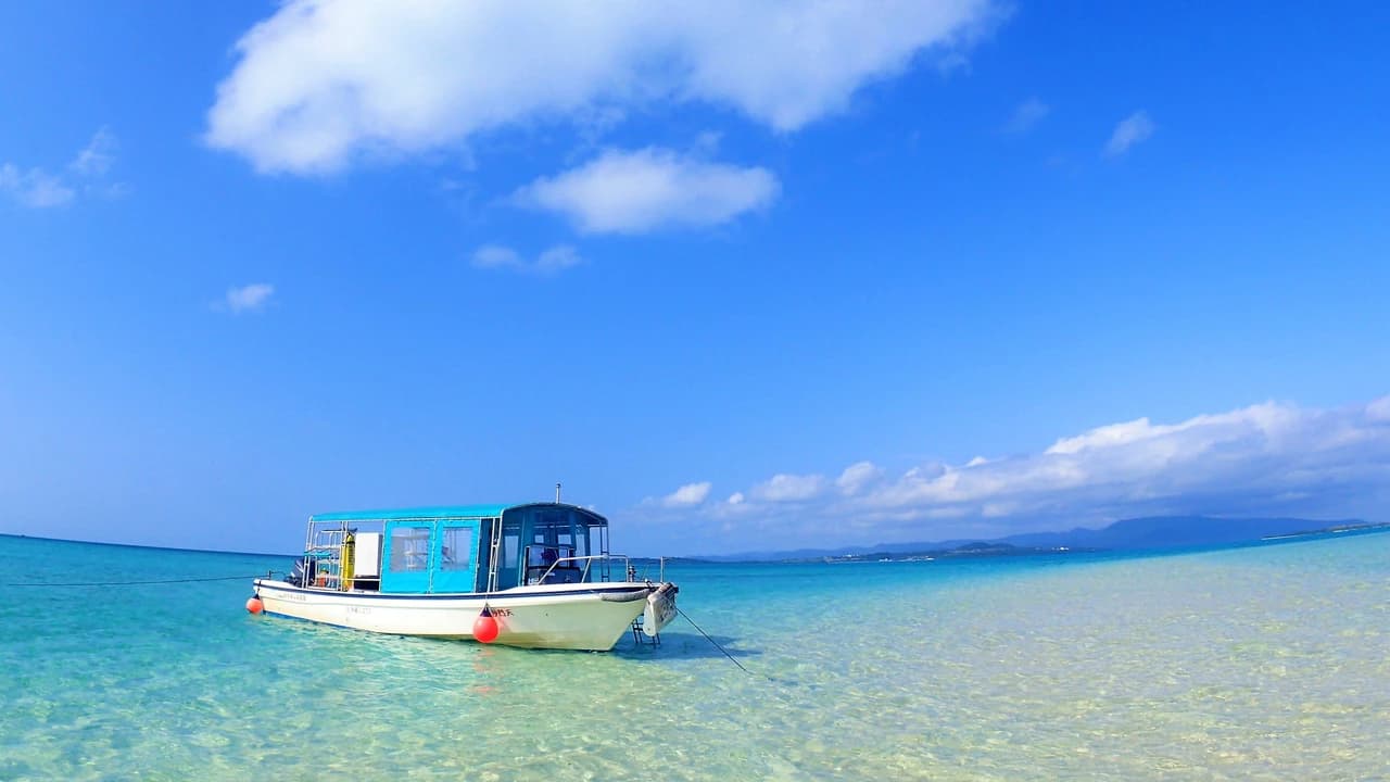 Half-Day Morning Snorkeling Tour with Phantom Island Visit - Photo 2