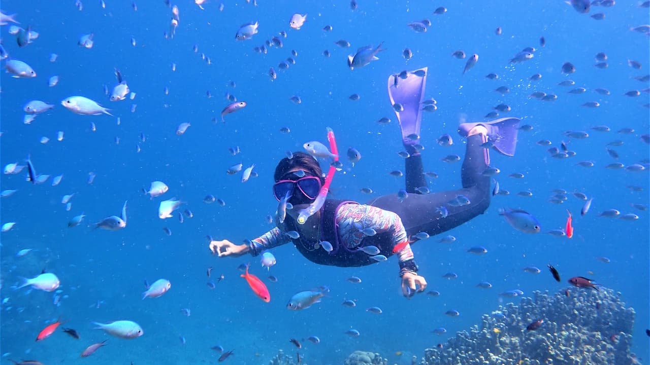 Half-Day Morning Snorkeling Tour with Phantom Island Visit - Photo 4