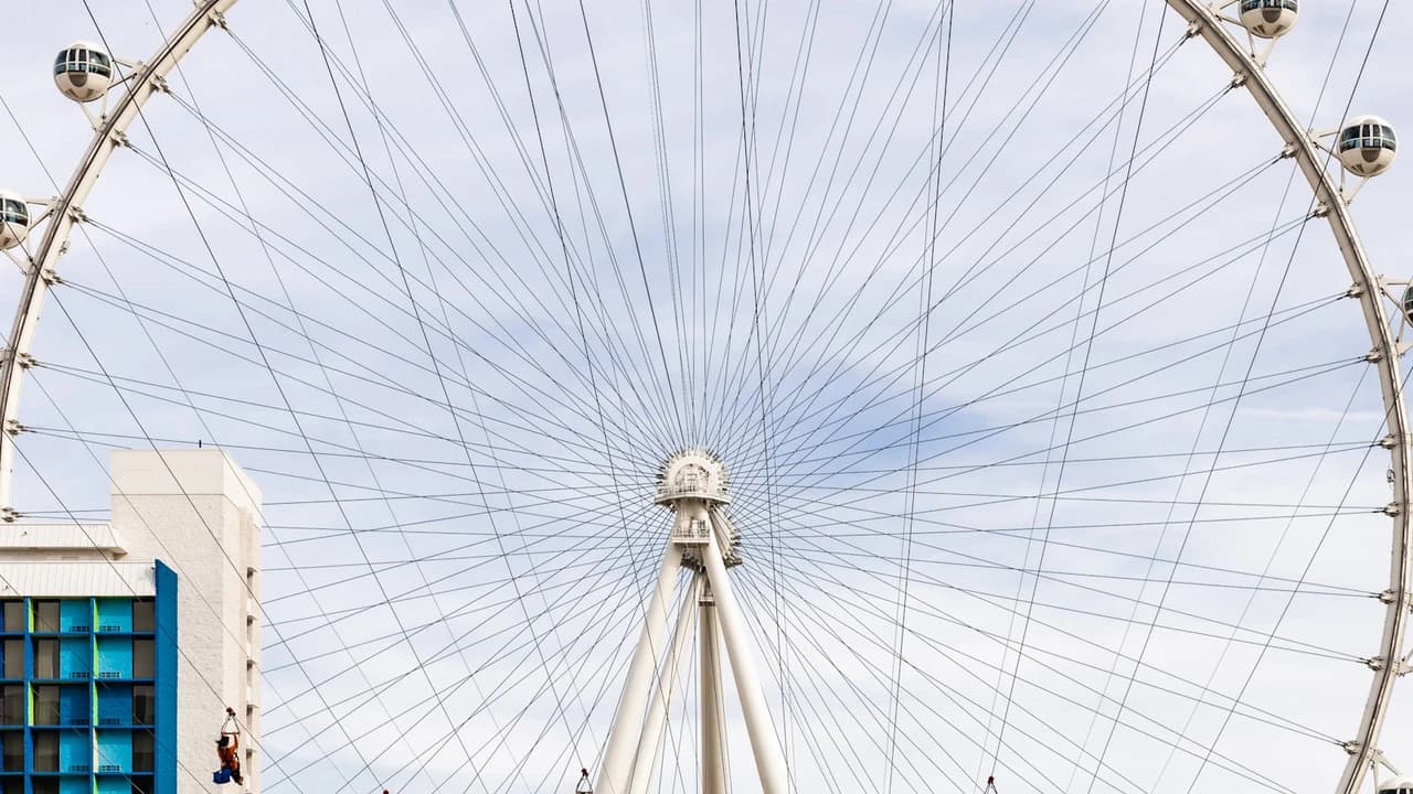 Fly LINQ Zipline - Photo 1