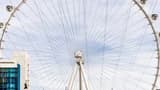 Fly LINQ Zipline - Photo 4