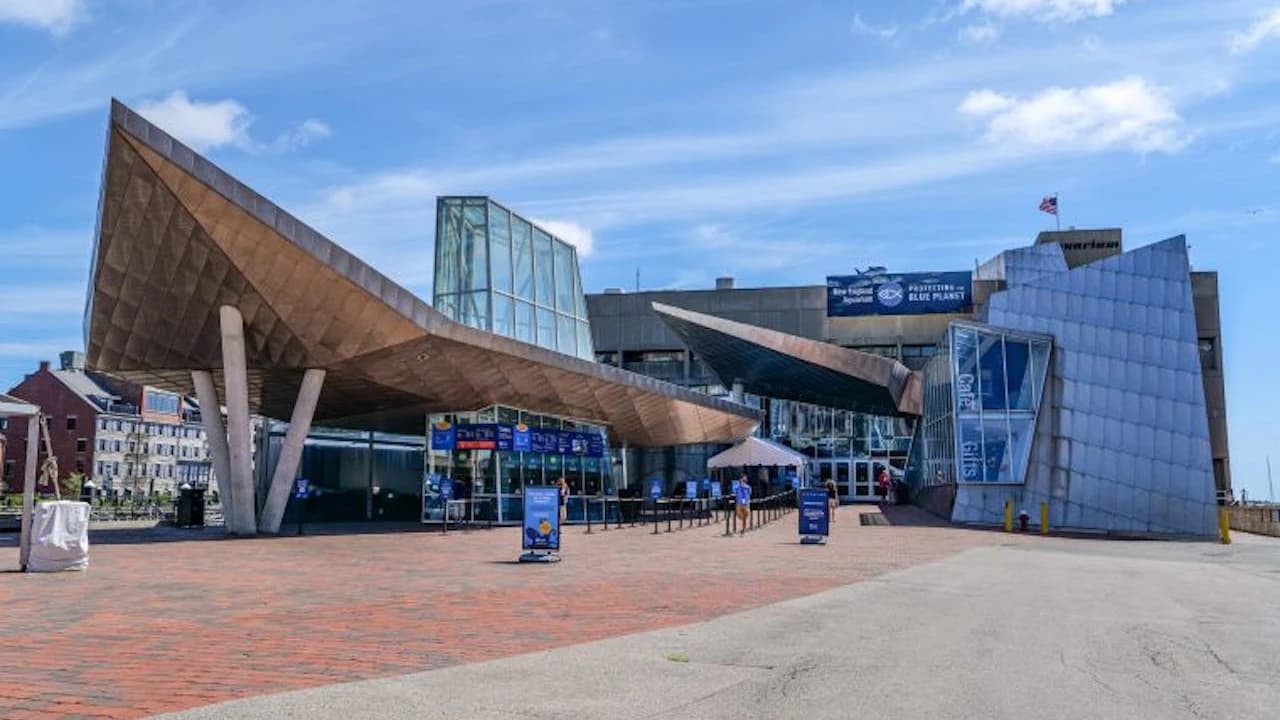New England Aquarium Ticket - Photo 1