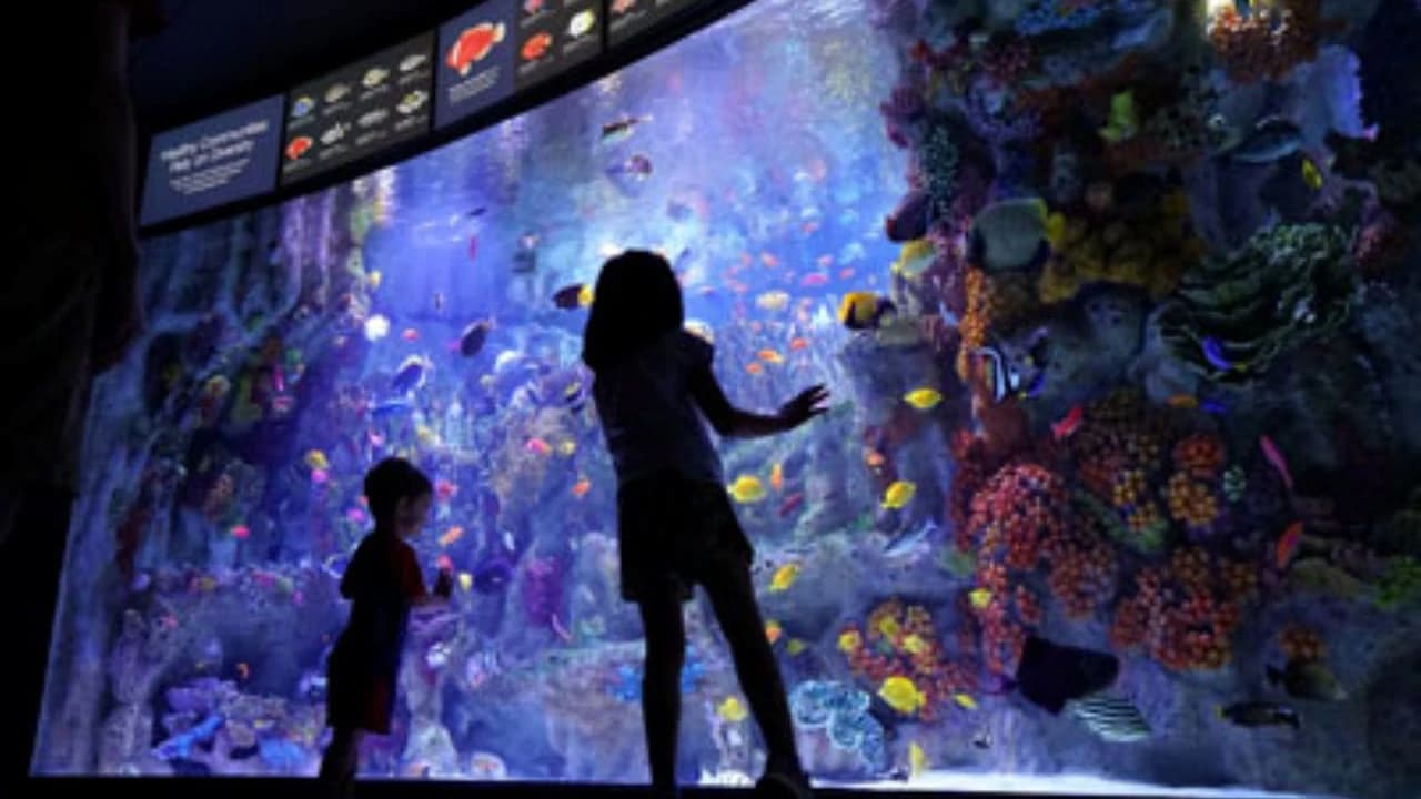 New England Aquarium Ticket - Photo 3