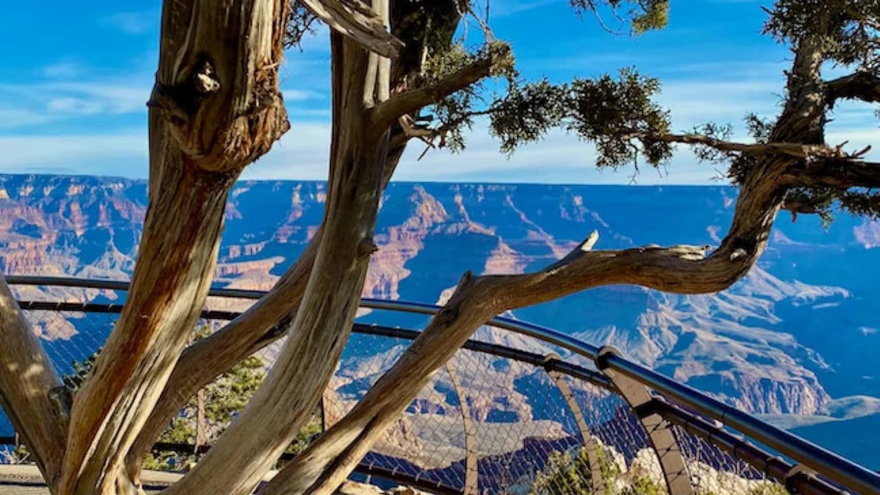 Grand Canyon National Park Tour from Las Vegas - Photo 3