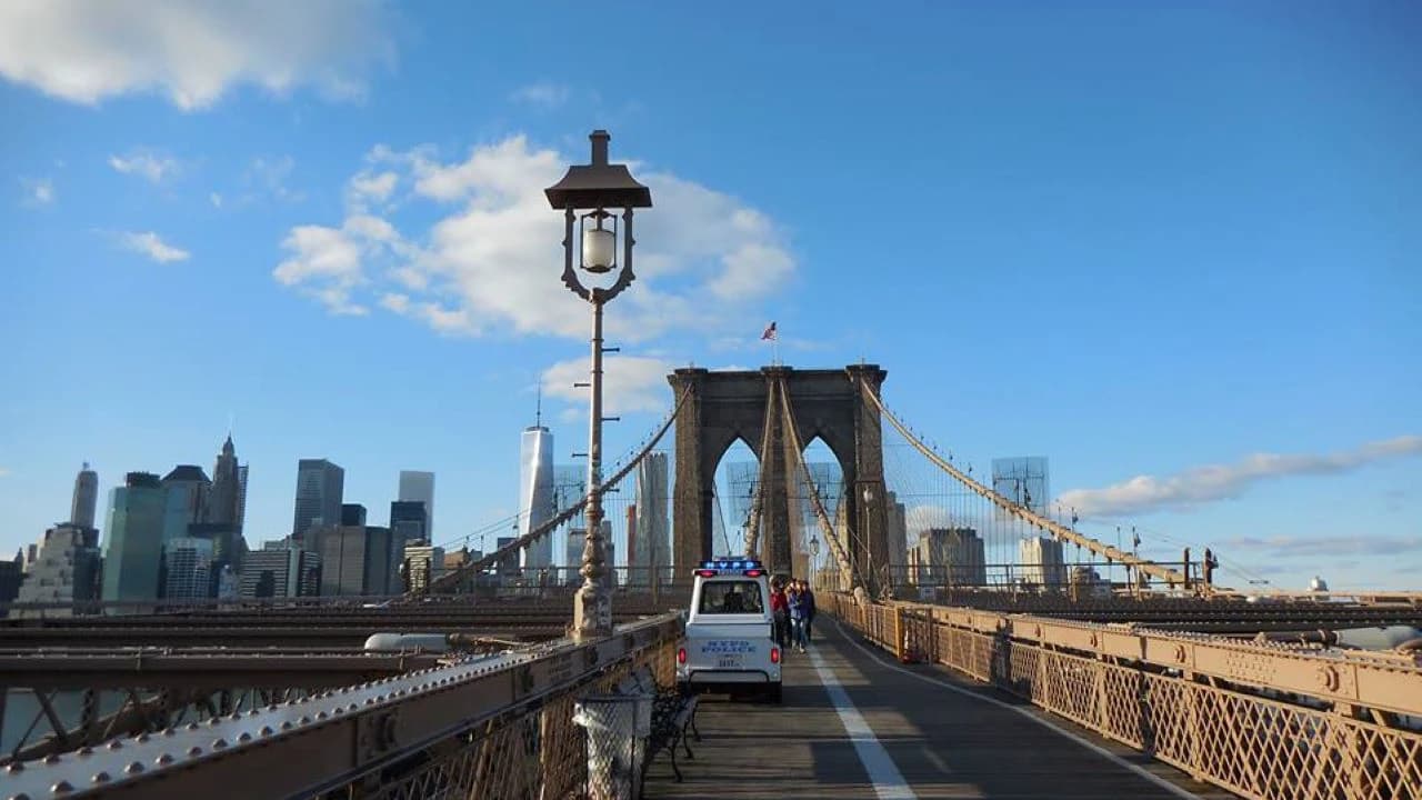 New York Boroughs Tour in Harlem, the Bronx, Queens, and Brooklyn - Photo 3