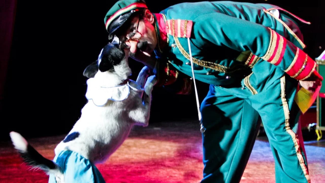 V Theatre Las Vegas - Popovich Comedy Pet Theatre - Photo 2