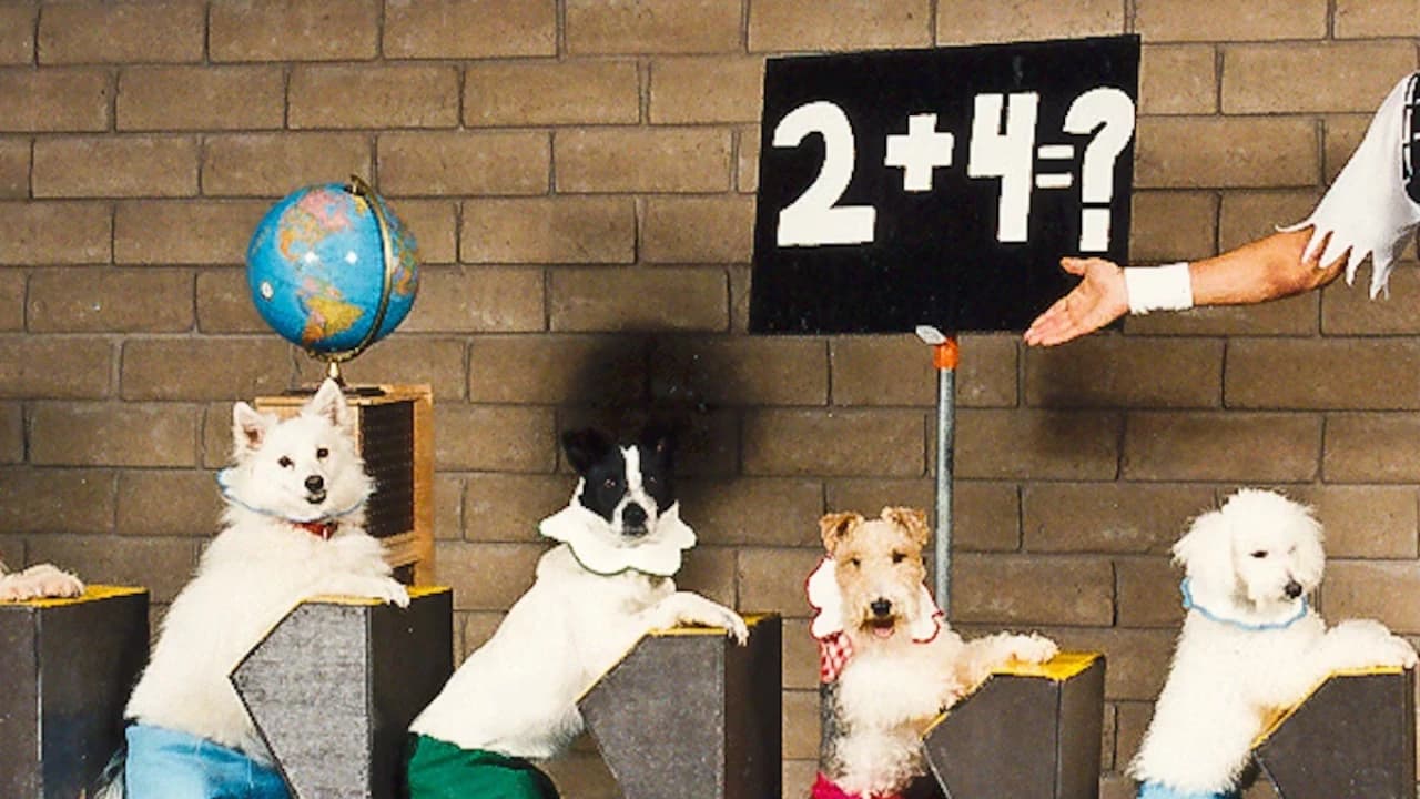 V Theatre Las Vegas - Popovich Comedy Pet Theatre - Photo 5