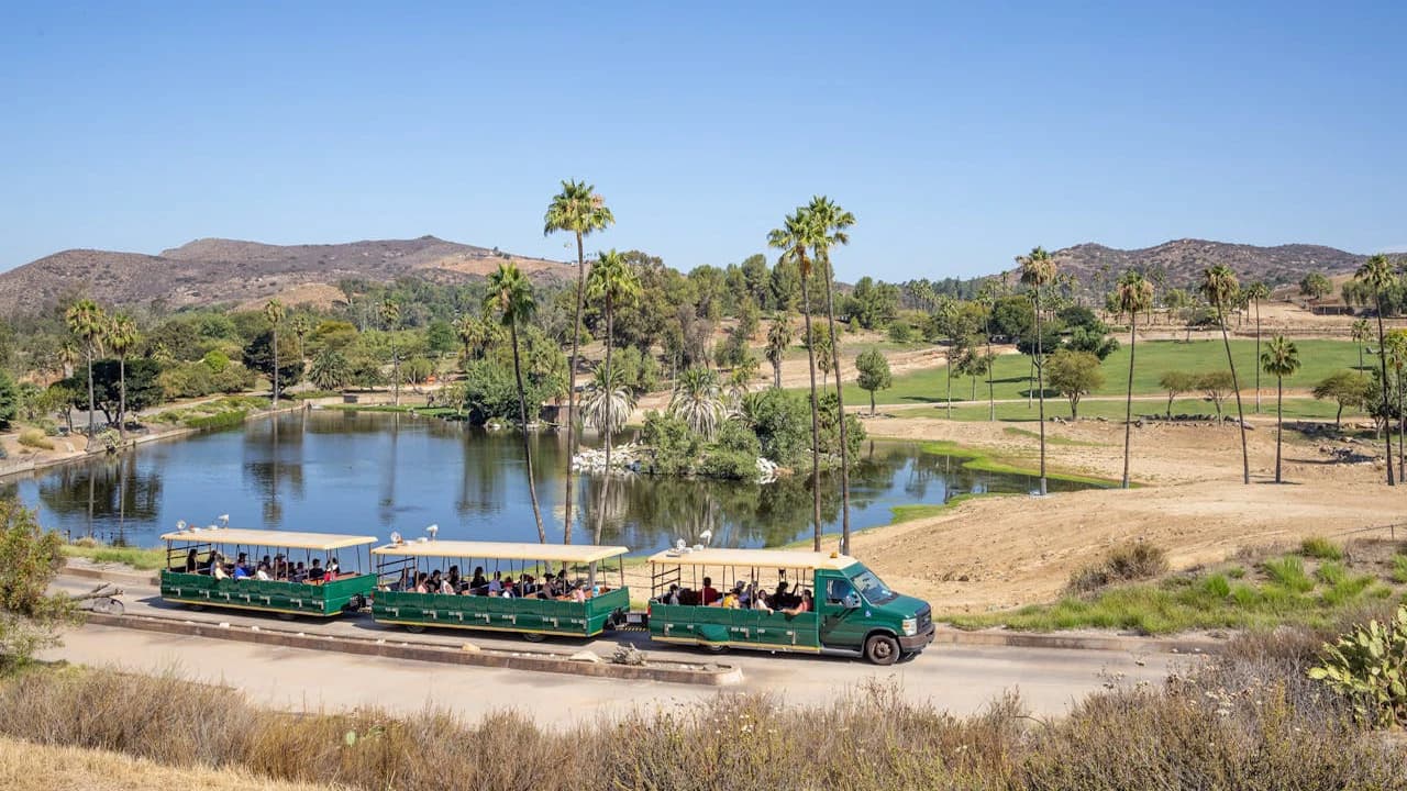 San Diego Zoo Safari Park Ticket - Photo 2