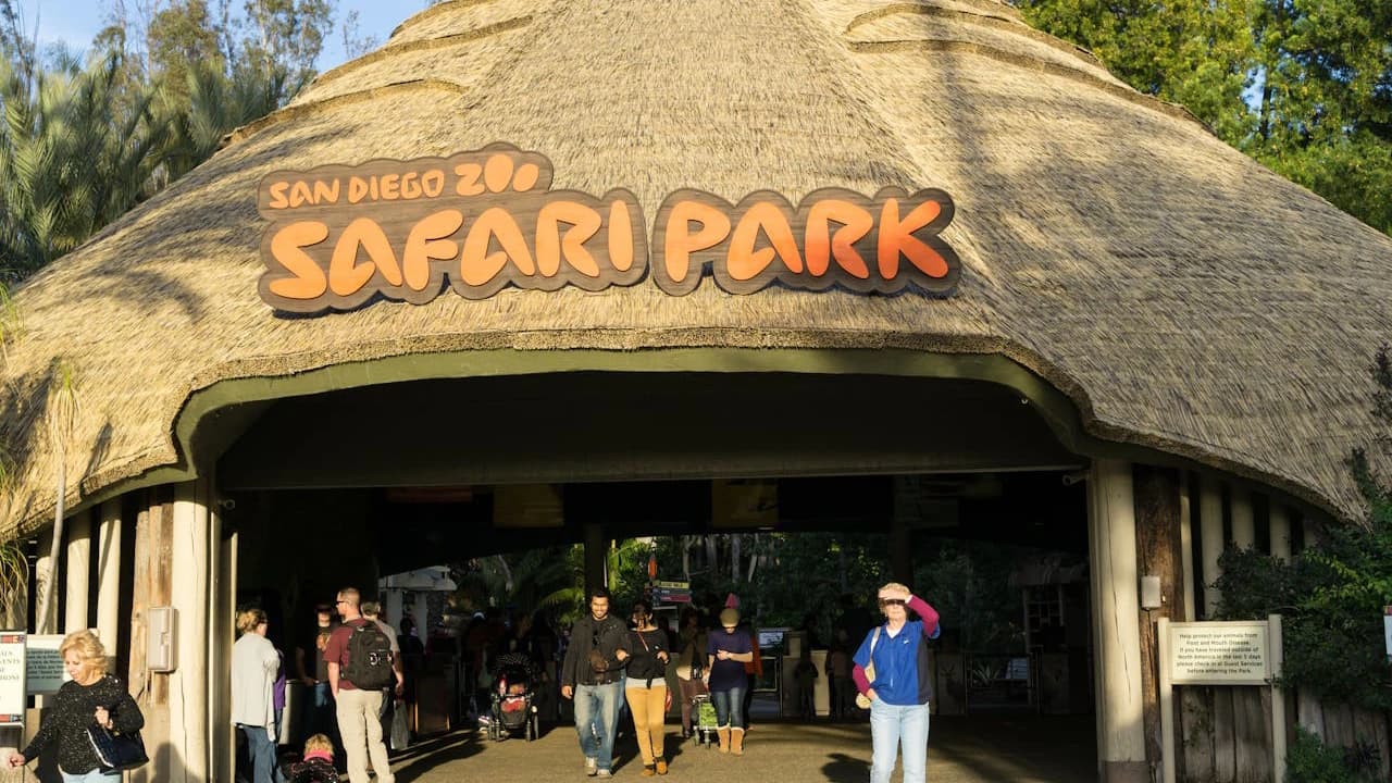 San Diego Zoo Safari Park Ticket - image 8