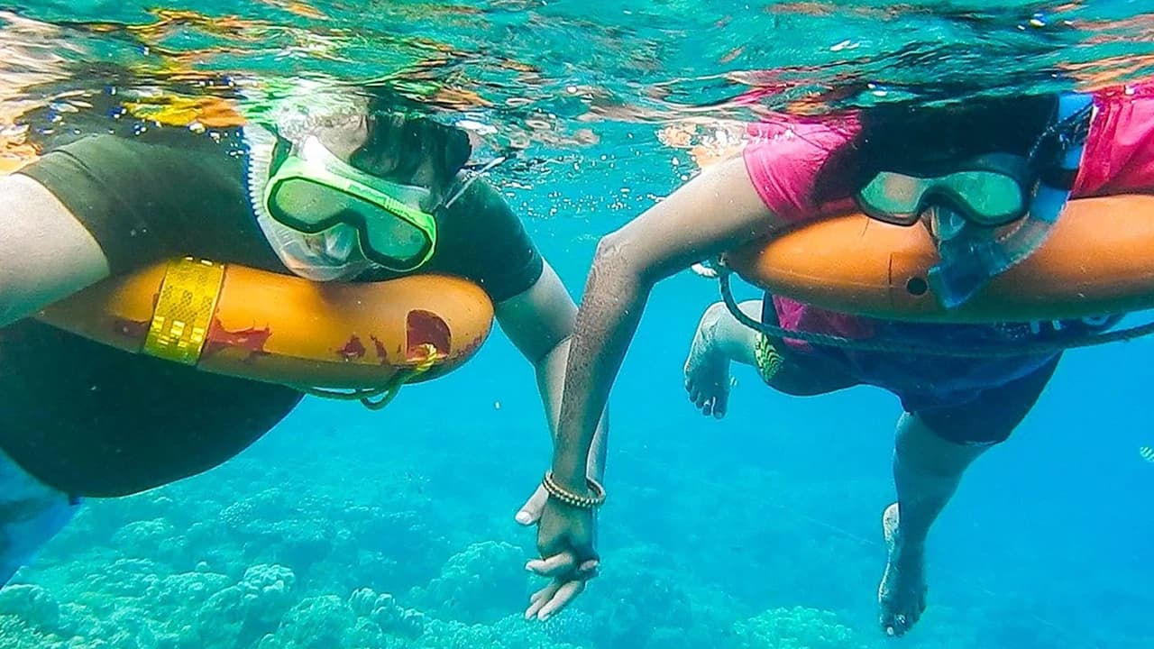 Day Trip to Key West from Miami with Optional Activities - Photo 4