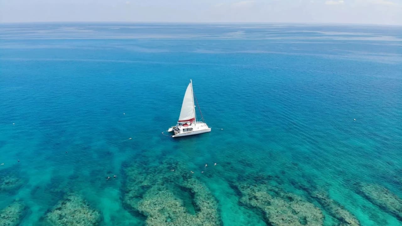 Key West: 3hr Snorkeling Experience with Unlimited Drinks - Photo 5
