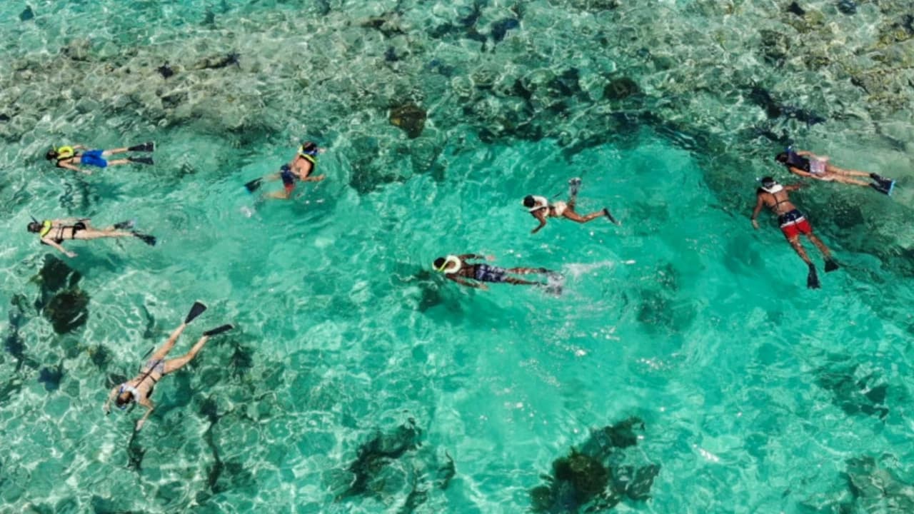 Key West: 3hr Snorkeling Experience with Unlimited Drinks - image 8