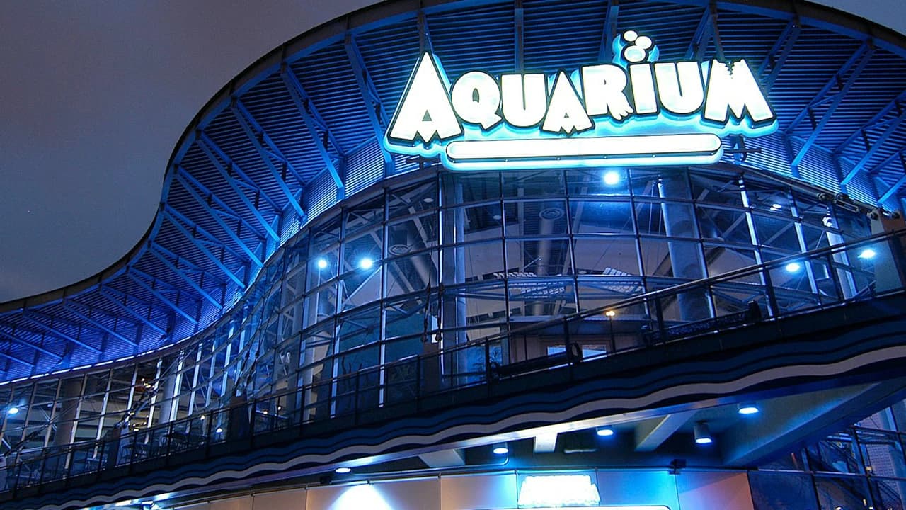 Downtown Aquarium Denver Ticket - Photo 1