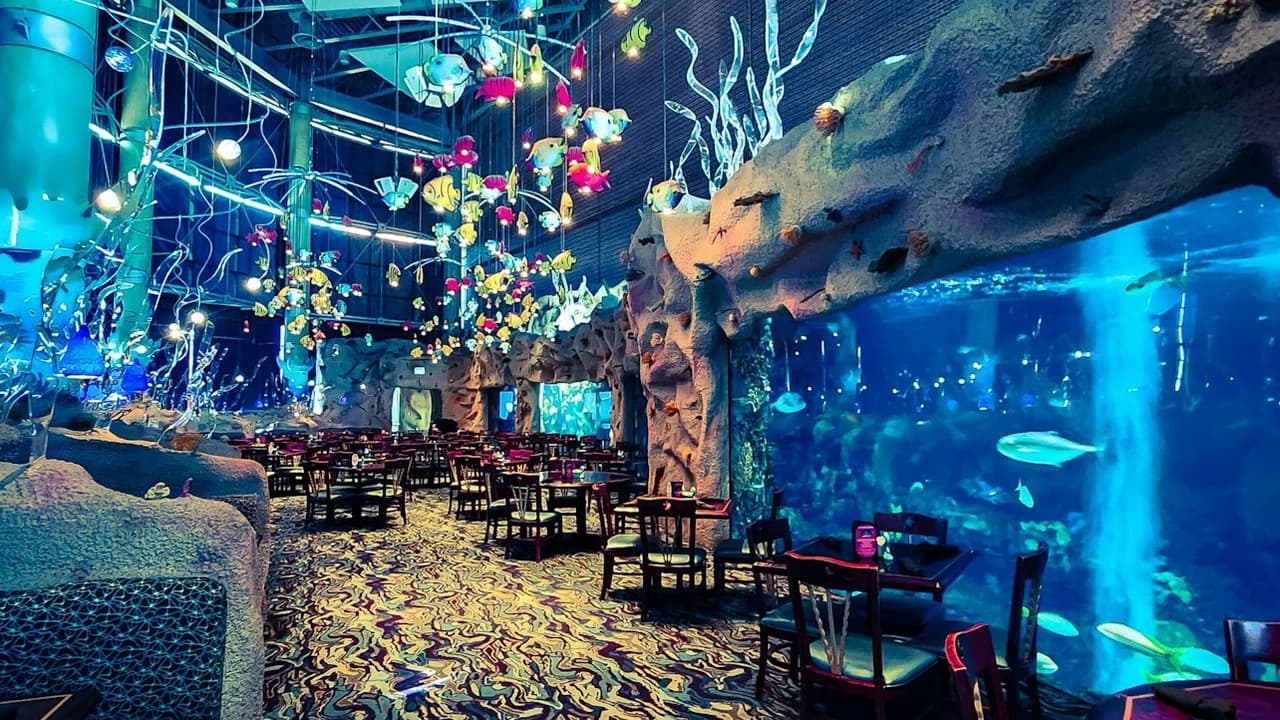 Downtown Aquarium Denver Ticket - image 7