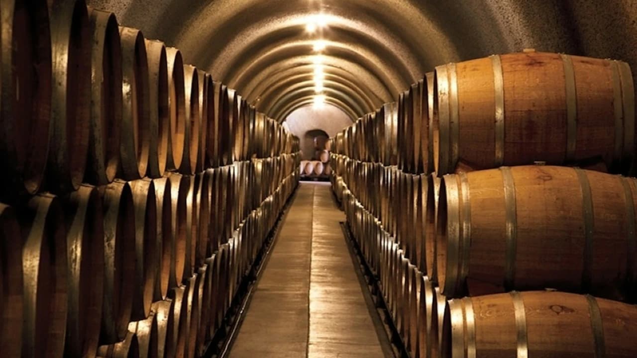 From San Francisco: Full Day Napa Valley Wine Tasting Tour - Photo 1
