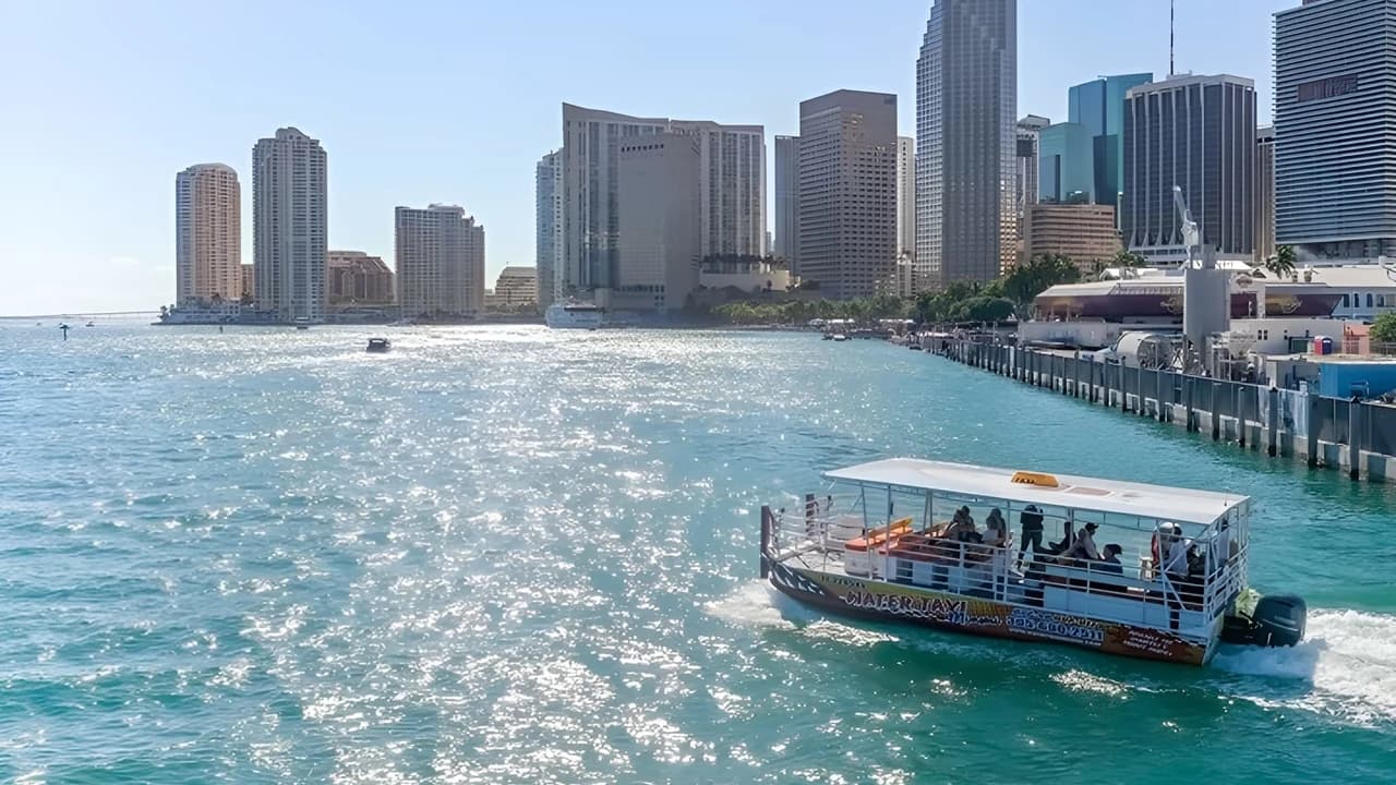 Miami Skyline Cruise of Millionaires’ Homes and Biscayne Bay - Photo 1